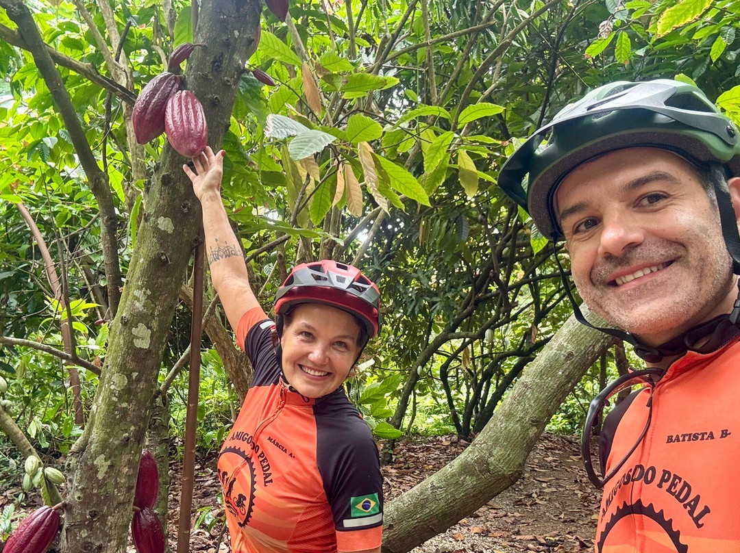 Culebike Adventure-Higuey必去景点