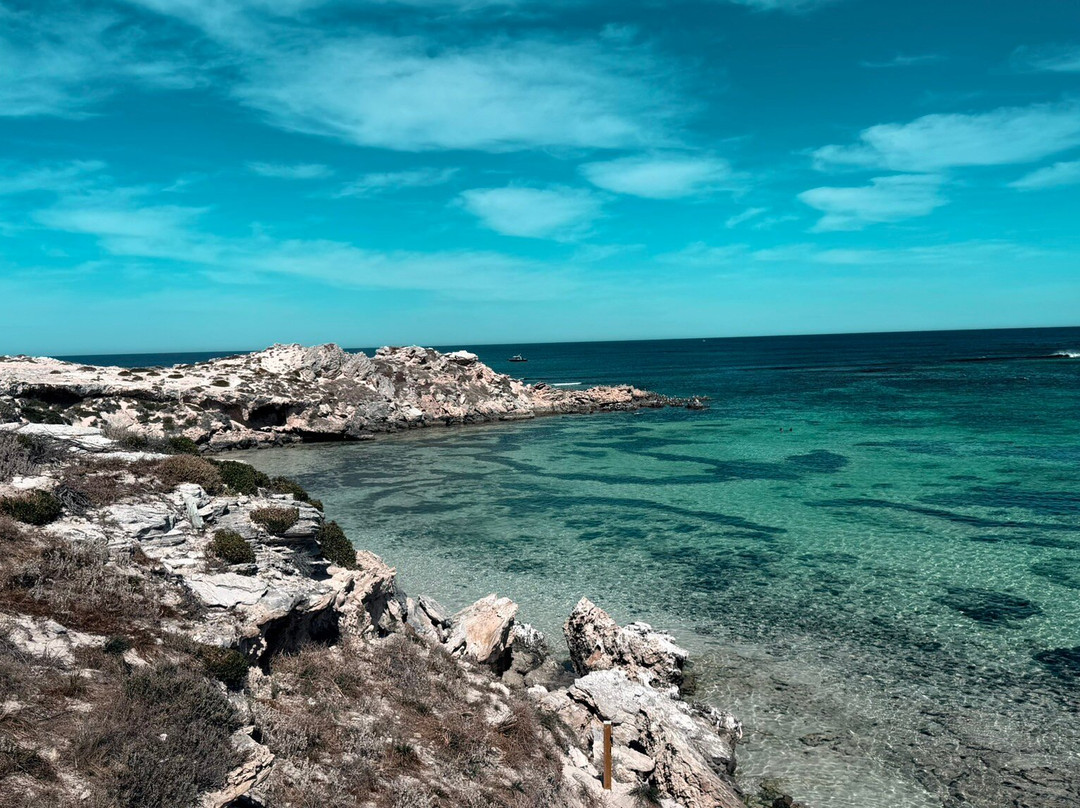 Little Salmon Bay-罗特尼斯岛必去景点