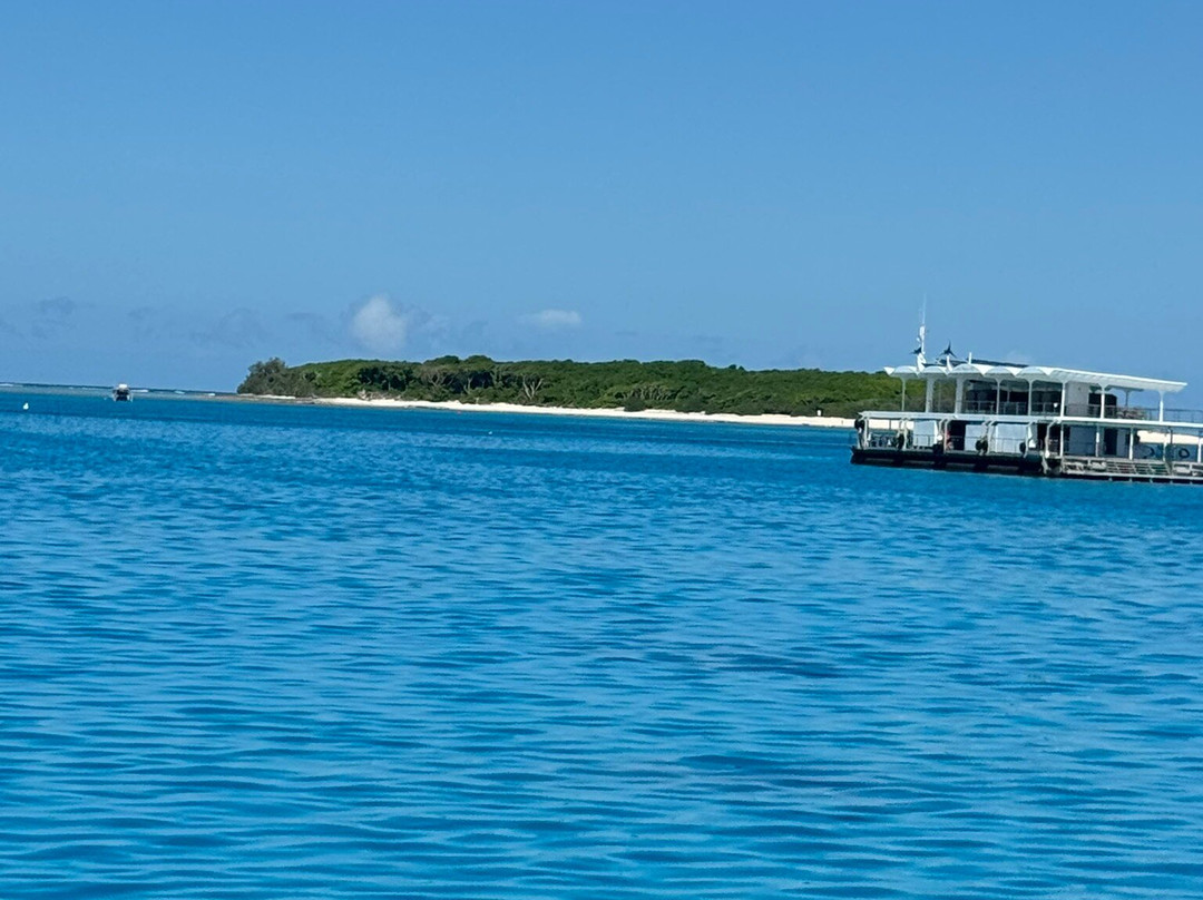 Lady Musgrave Experience - Reef Tours-Burnett Heads必去景点