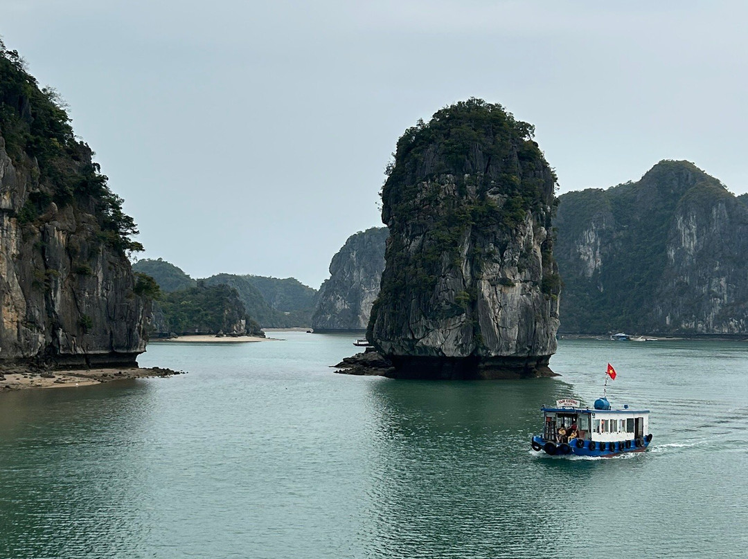 Cat Ba Eco Tourist-Cat Ba Town必去景点