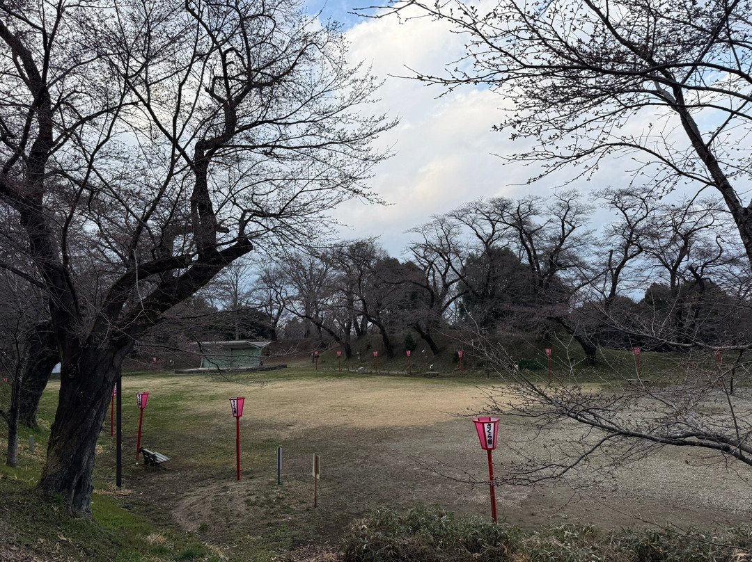 Ryujo Park-太田原市必去景点