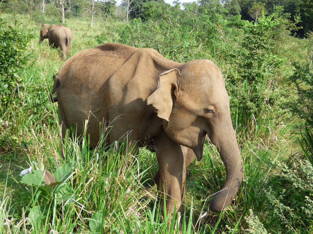 Hurulu Eco Park-哈巴拉娜必去景点