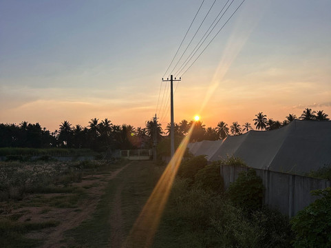 Samyak Yoga-迈索尔必去景点