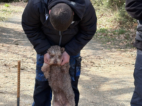 Natural History Museum of Meteora & Mushroom Museum-卡兰巴卡必去景点