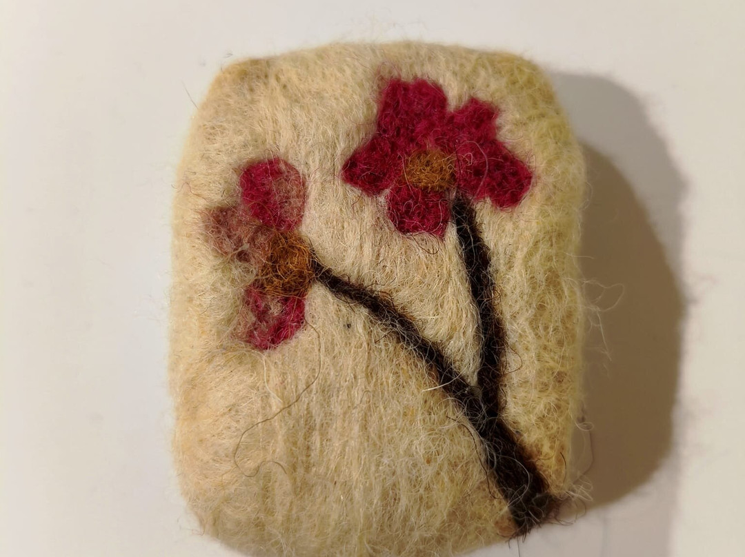 波萨朵莉亚民宿主图