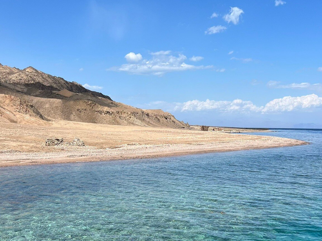 Sinai Divers Backpackers-达哈卜必去景点