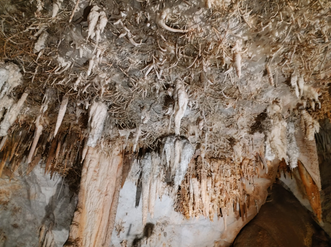 Cueva De Pozalagua-Valle de Carranza必去景点