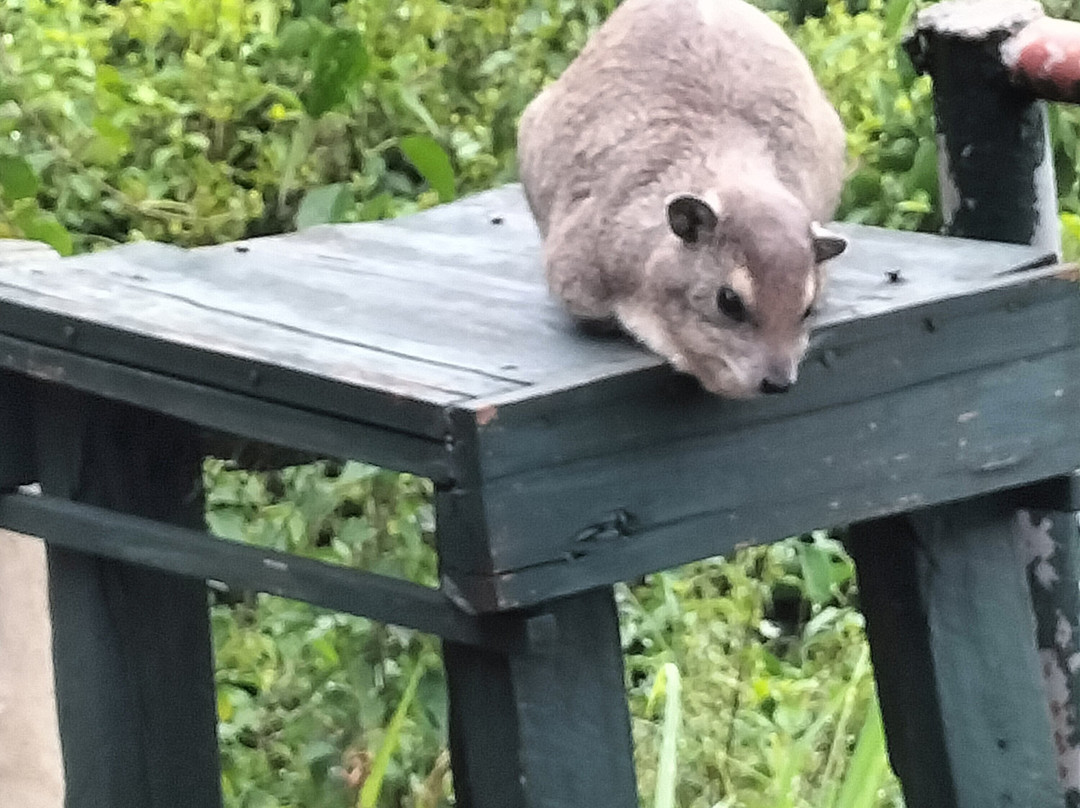 Ikoma Wild Camp主图