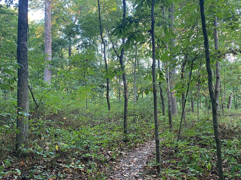 Blackhand Gorge State Nature Preserve-Newark必去景点