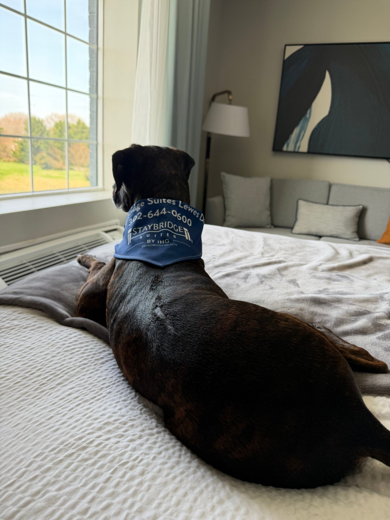 全家桥连锁套房酒店，洲际酒店集团的雷霍博斯海滩-官方