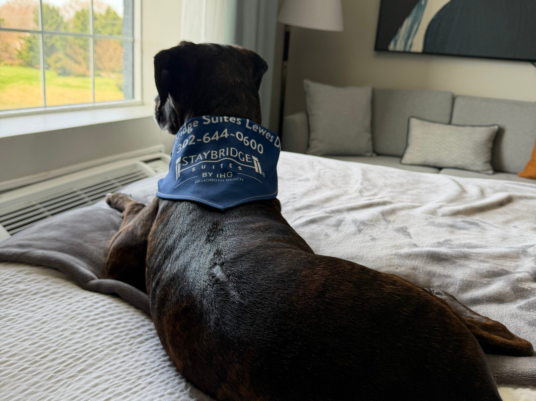 全家桥连锁套房酒店，洲际酒店集团的雷霍博斯海滩主图