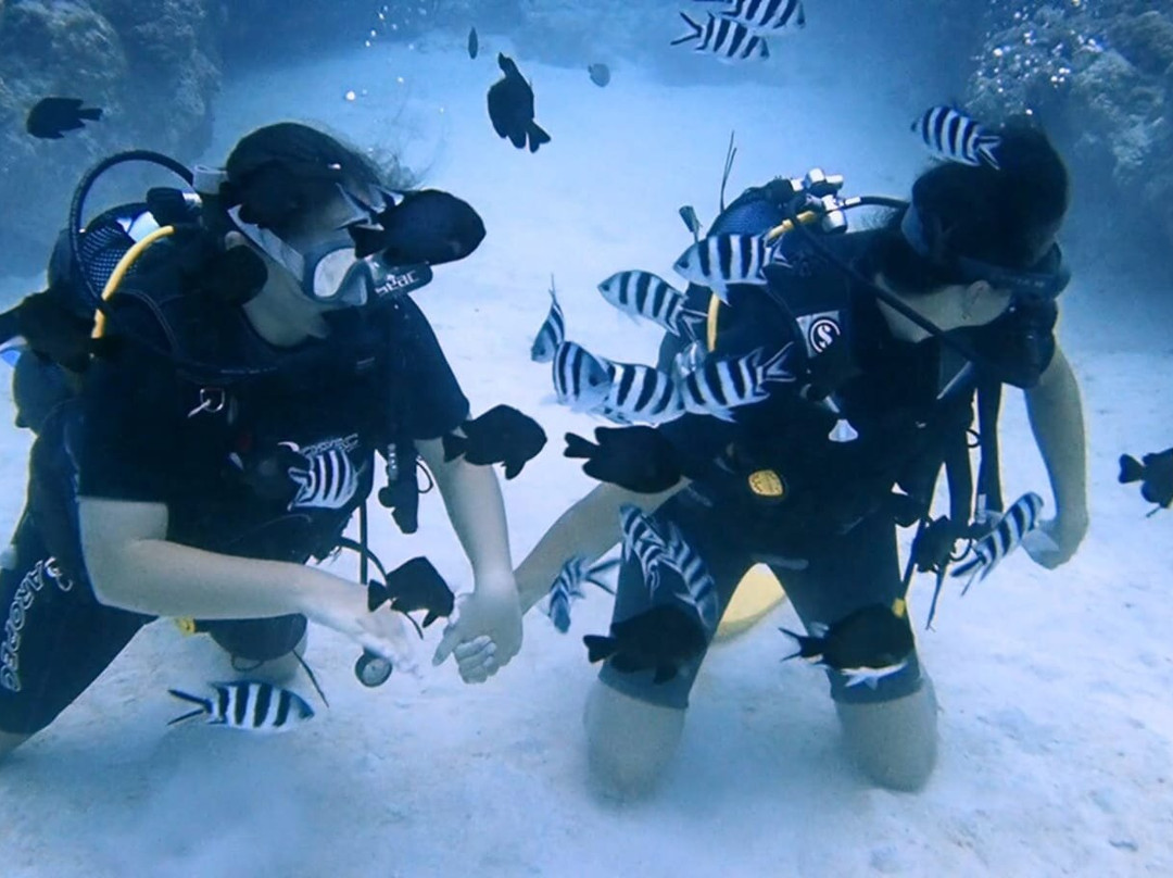 Dive Spirit Mauritius-卓欧毕雪必去景点