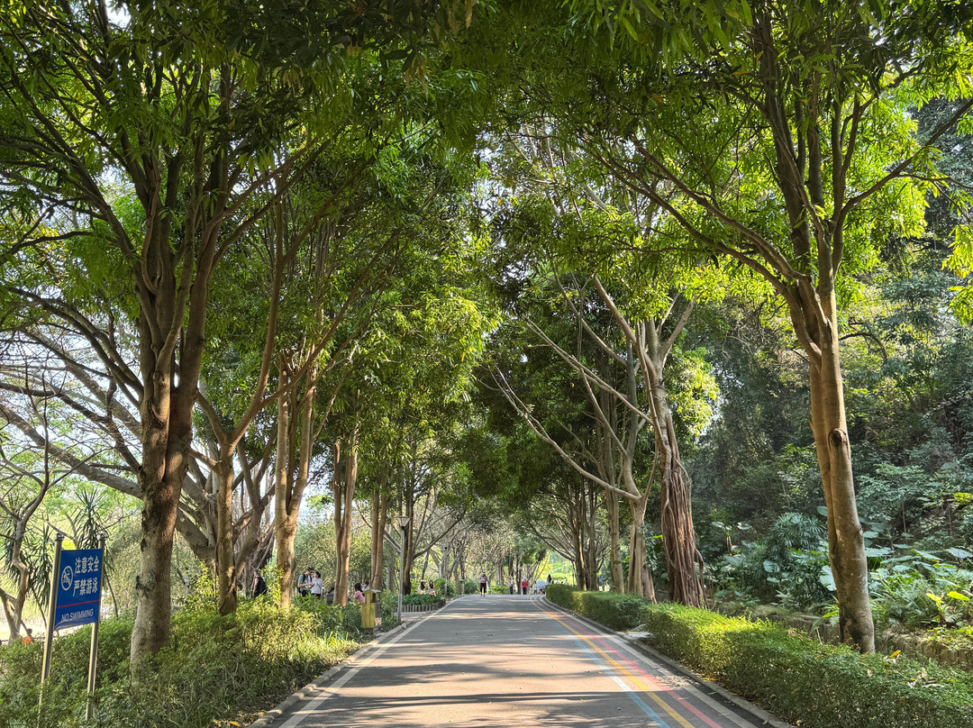 石门森林公园-南宁市必去景点