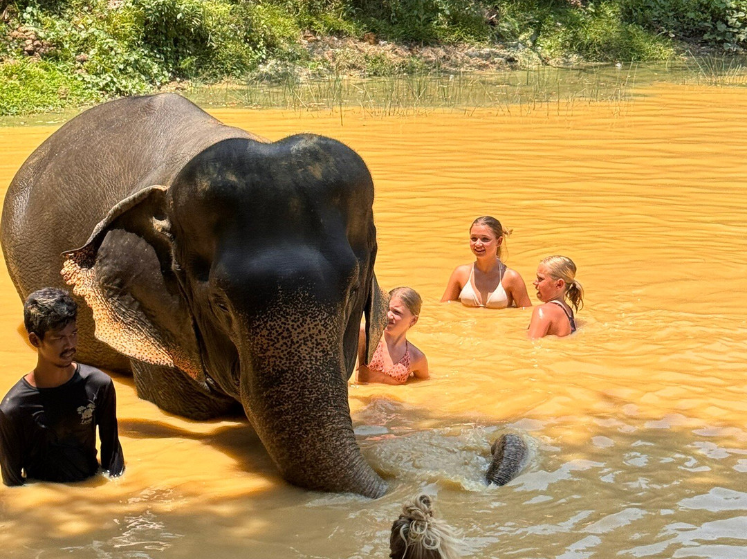 Lanta Elephant Sanctuary-兰塔岛必去景点