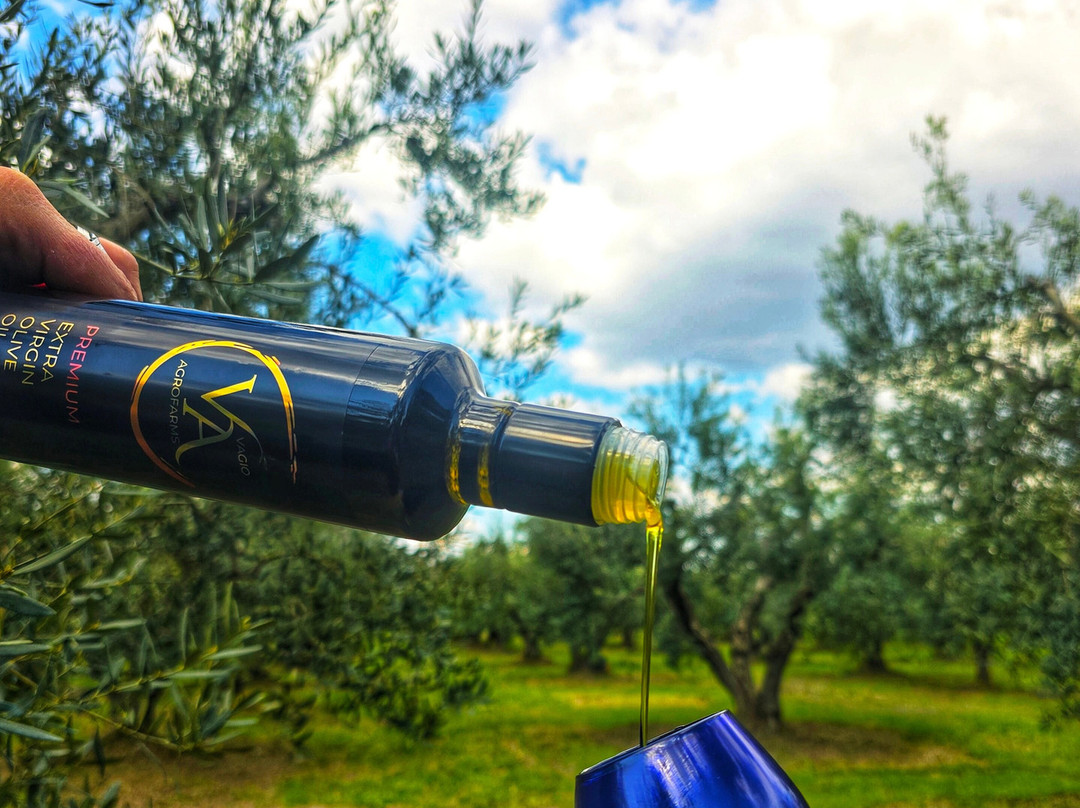 Vagio Agrofarms