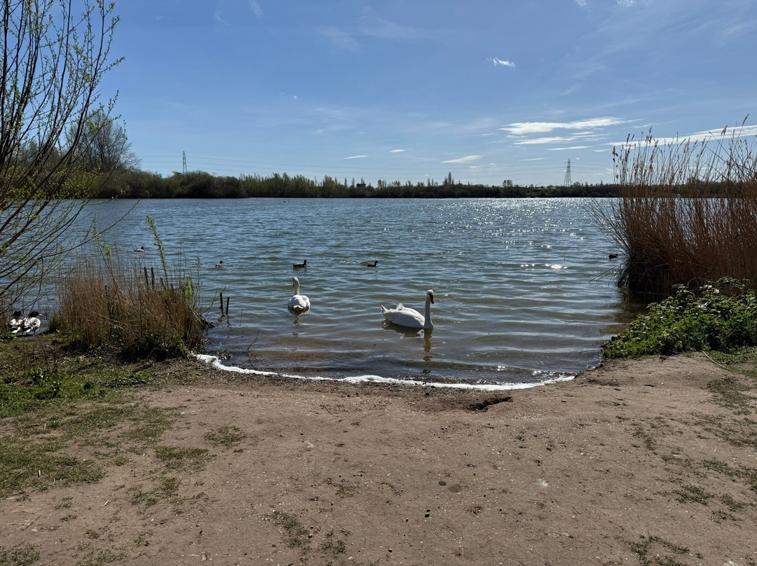 Idle Valley Nature Reserve-Retford必去景点