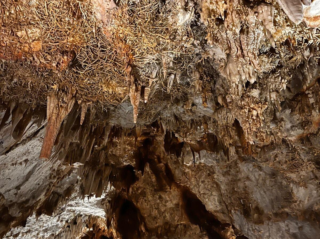 Cueva De Pozalagua-Valle de Carranza必去景点