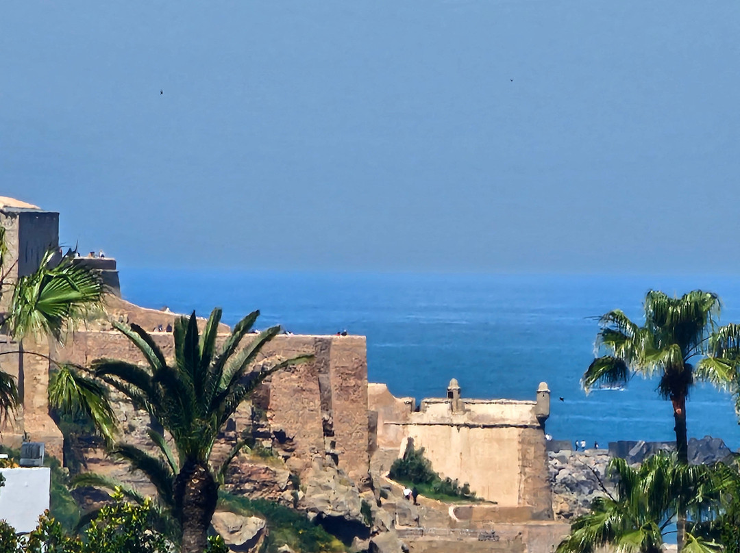 Oyacha Travel-卡萨布兰卡必去景点