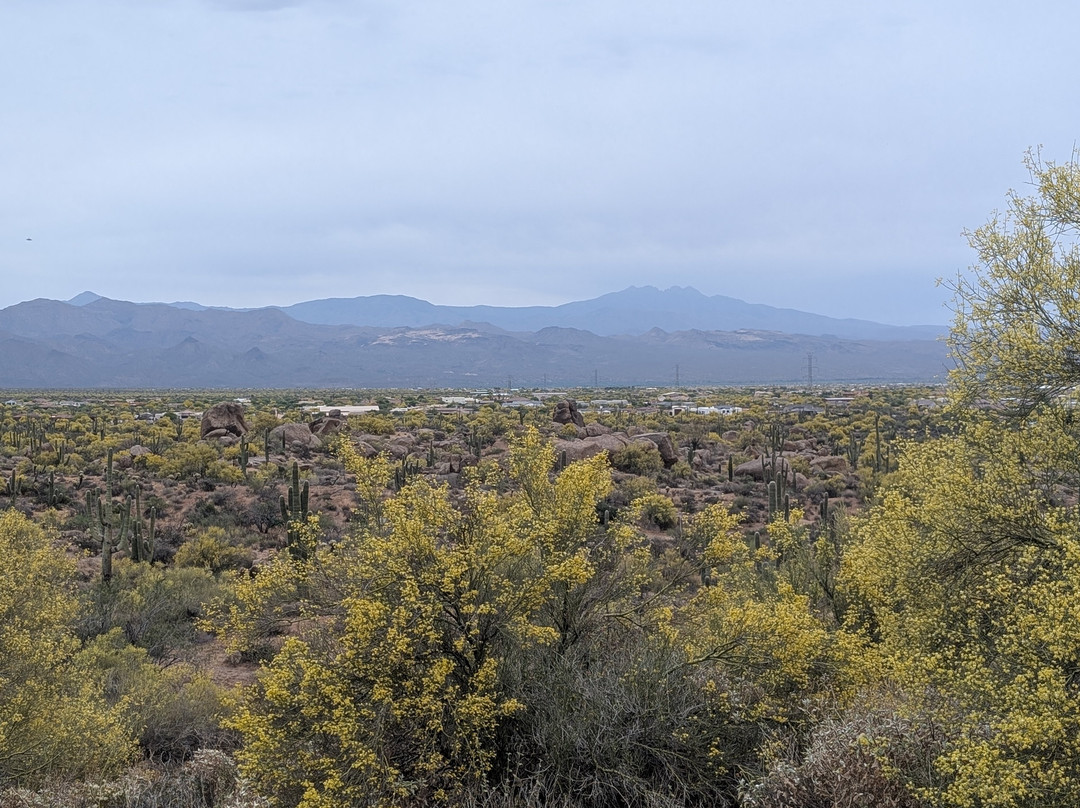 McDowell Sonoran Preserve-斯科茨代尔必去景点