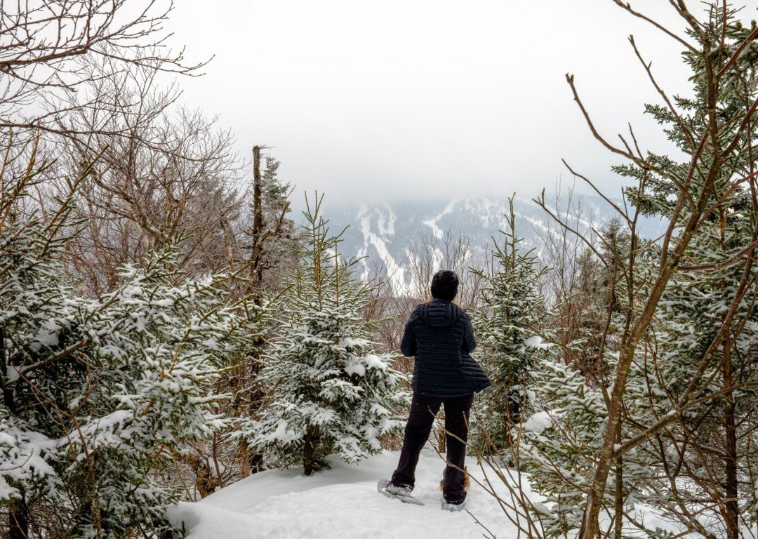 Parc d'environnement Naturel de Sutton-Sutton必去景点