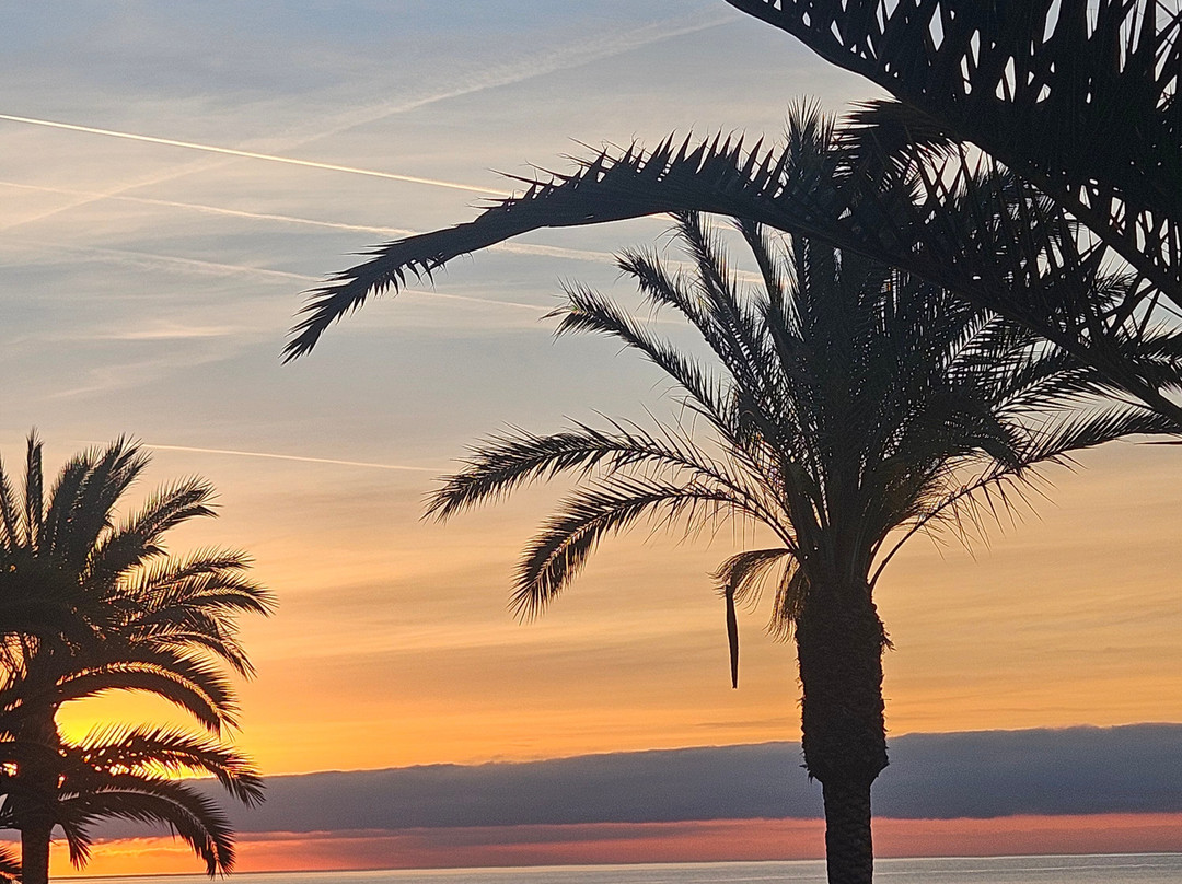 Hotel Villa Marina主图