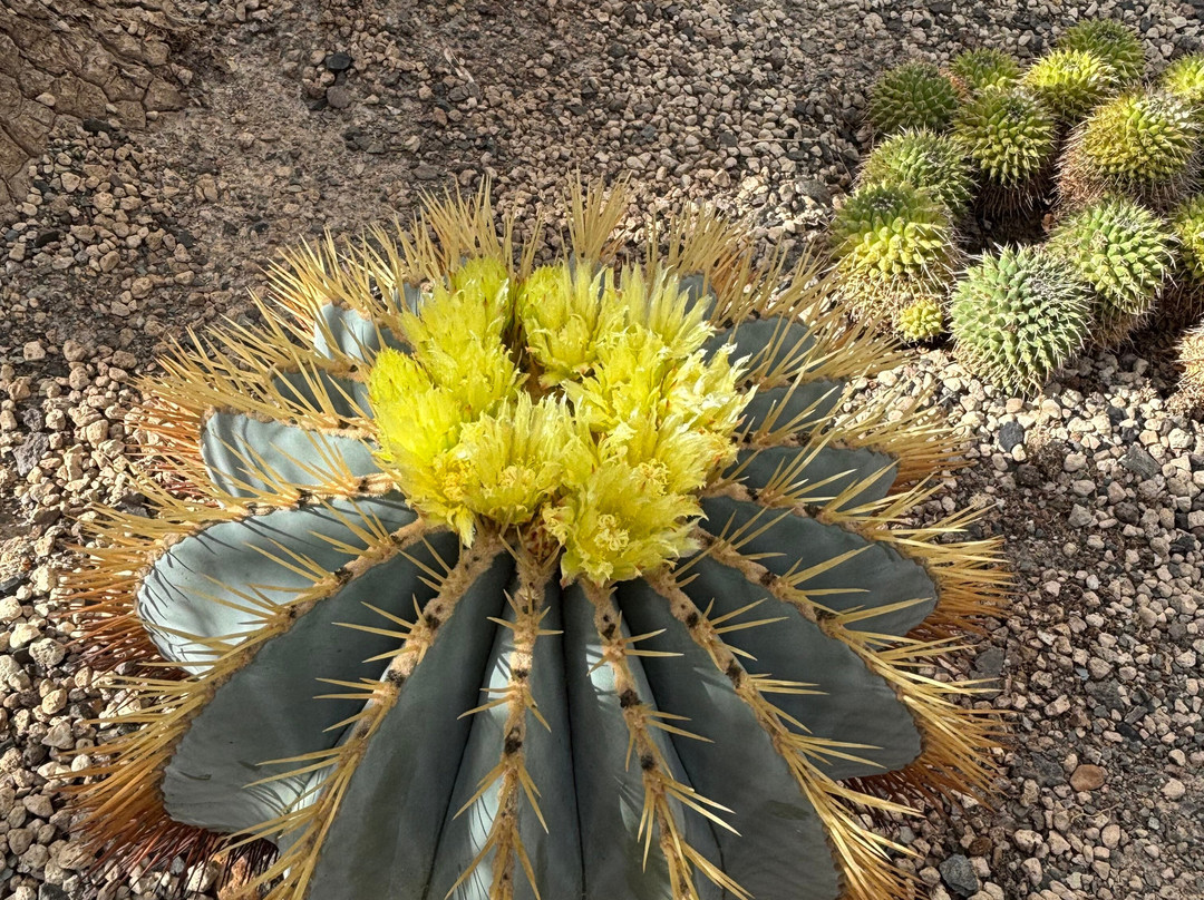 Botanical Garden of the University of Wrocław-弗罗茨瓦夫必去景点