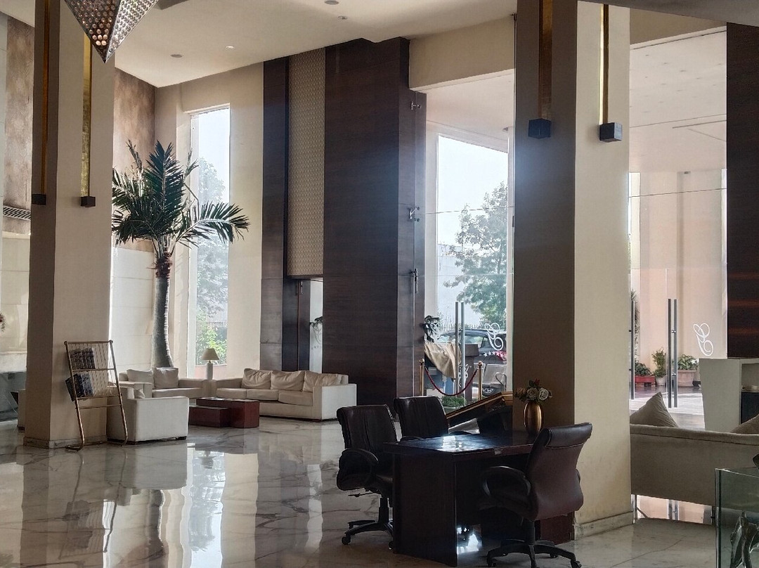 高德温梅鲁特主图