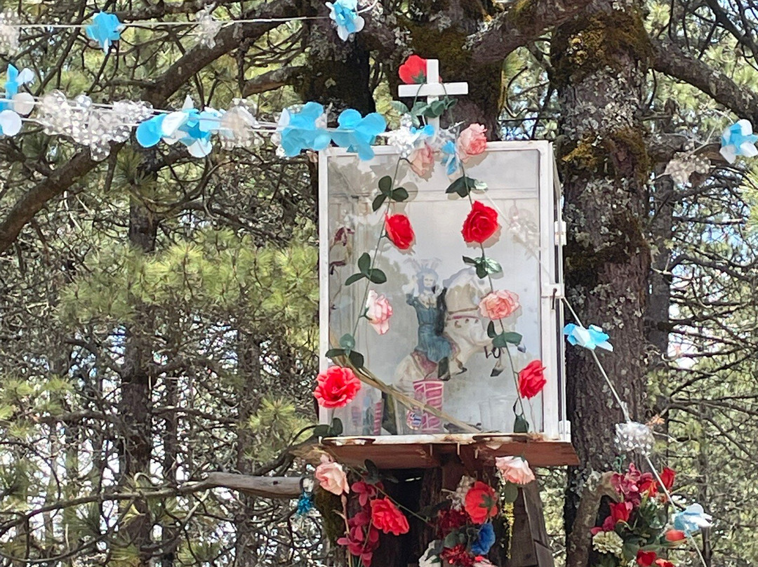 Mexico Travesias-墨西哥城必去景点