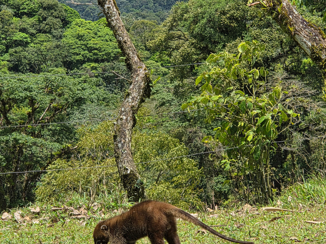Bella Aventura Costa Rica-Santo Domingo de Heredia必去景点