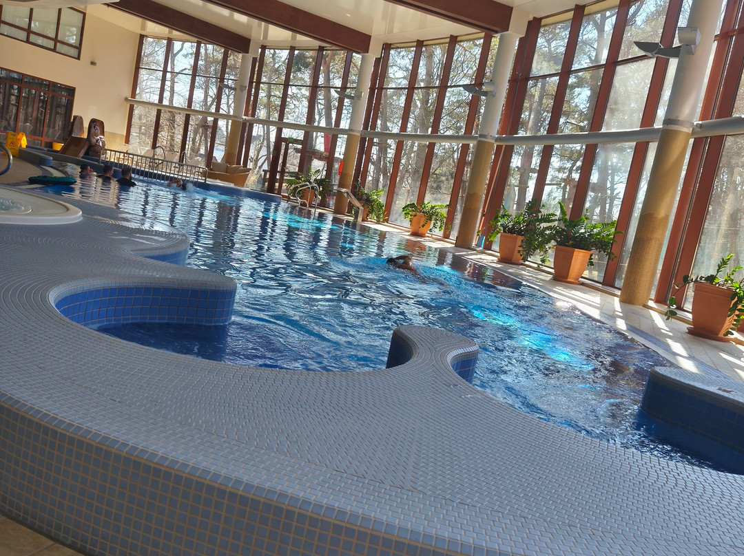 Dom Zdrojowy 度假村及水疗中心 - 凯悦悠选酒店主图