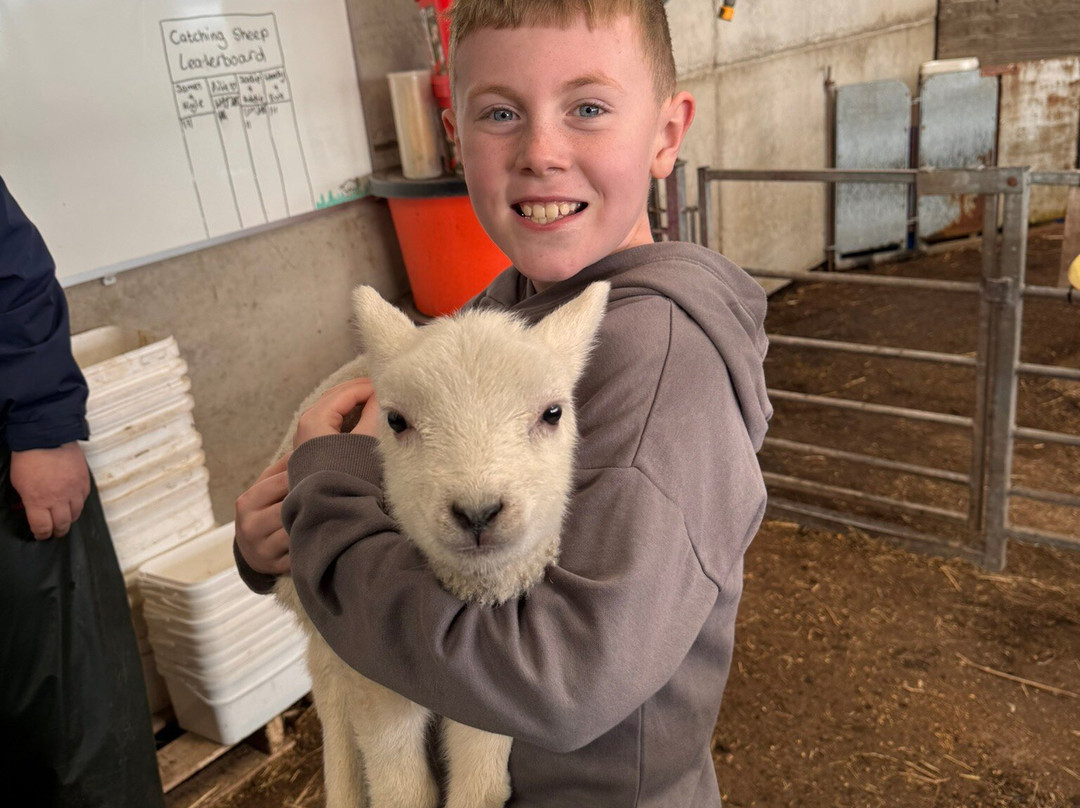 Kilmacolm Farm Tours-Cairncurran必去景点