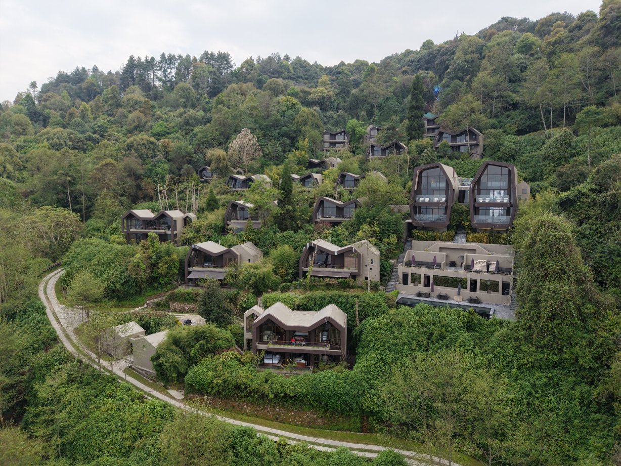 卡维亚喜马拉雅酒店-旅行者