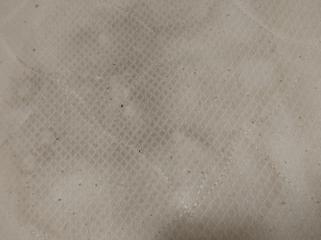 Hair Of The Dog Bar Hoi An-会安必去景点