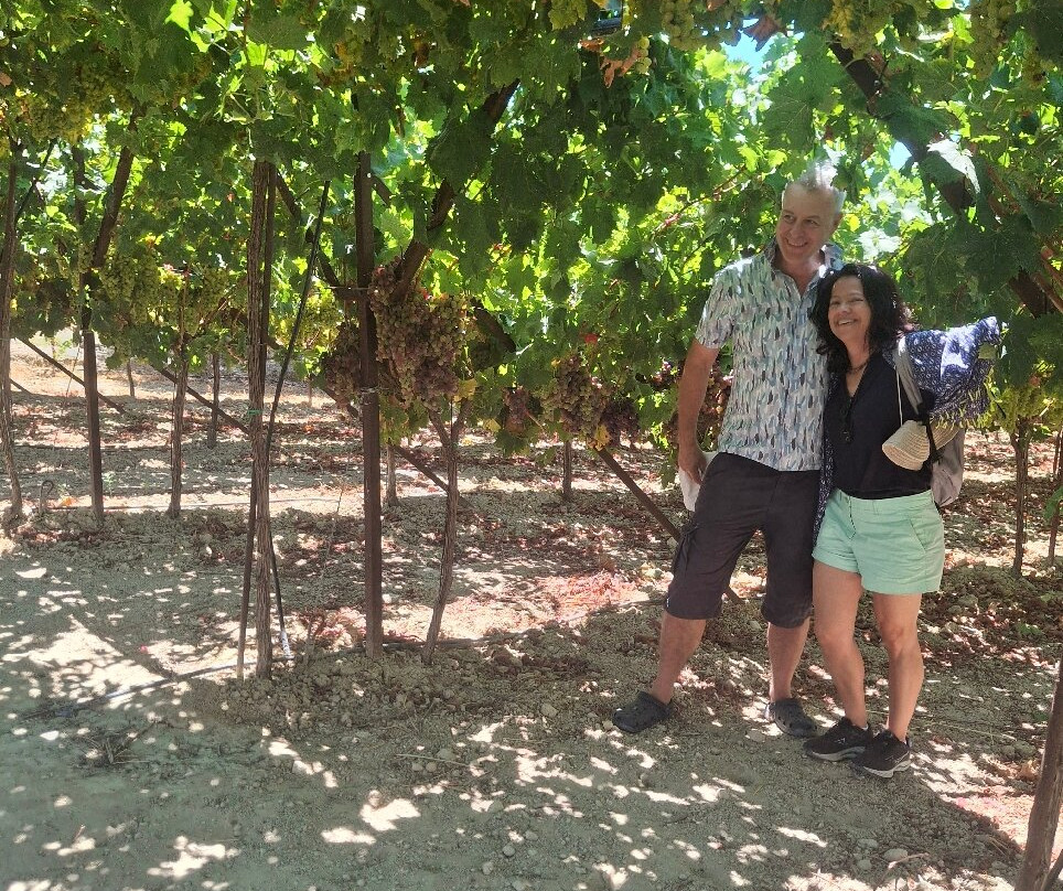 Fournarakis Winery-Episkopi必去景点