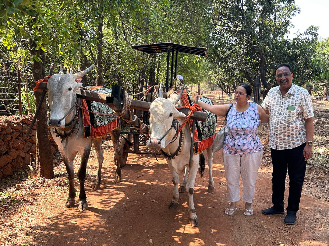 达波利的费恩萨玛利度假村，万豪系列主图