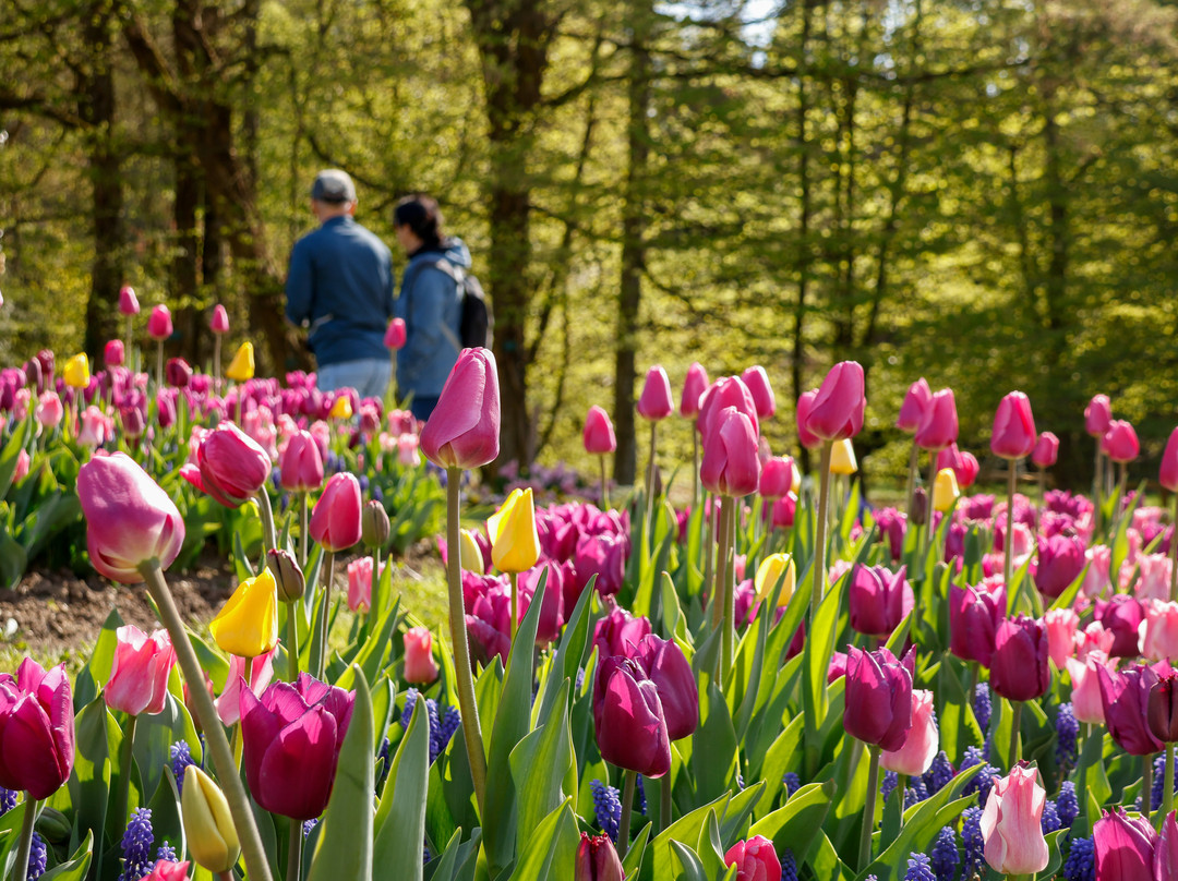 Arboretum Volčji Potok-Radomlje必去景点