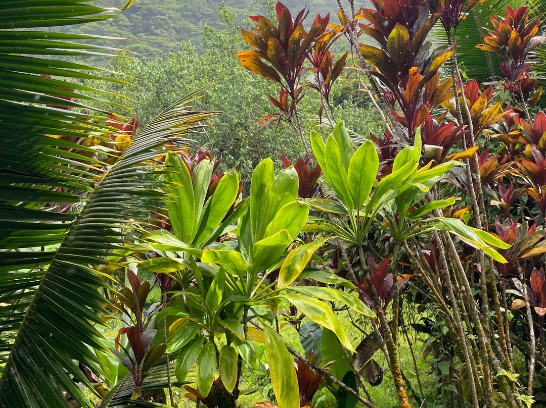 Karatu Expedition Safari-阿鲁埃必去景点