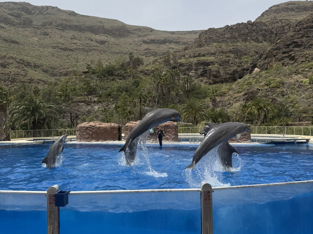 帕尔米图斯动植物园-马斯帕洛马斯必去景点
