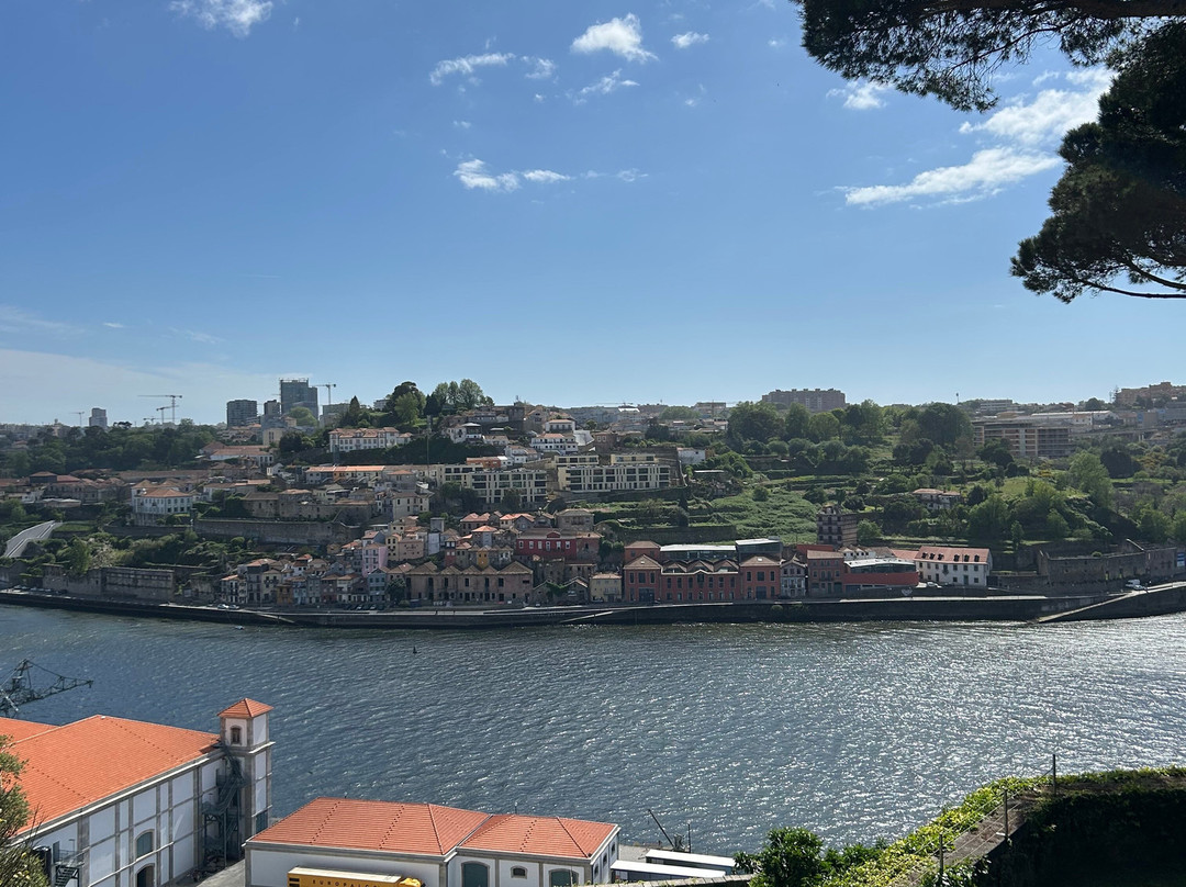 托雷尔前卫酒店主图