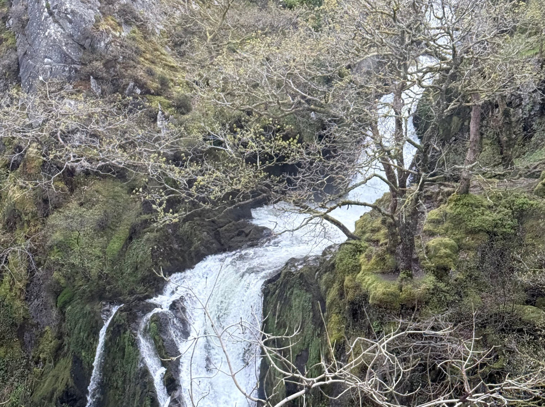Snowdon Mountain Railway-Llanberis必去景点