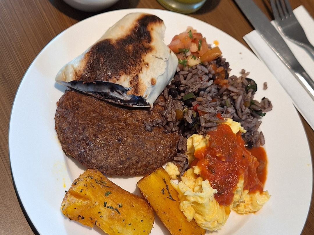 圣何塞皮纳雷斯凯悦嘉轩酒店主图