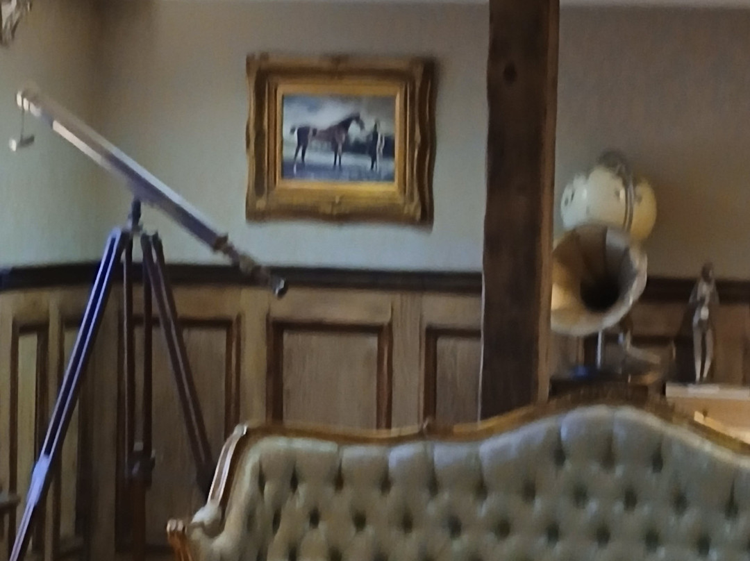 金色的羊毛酒店主图