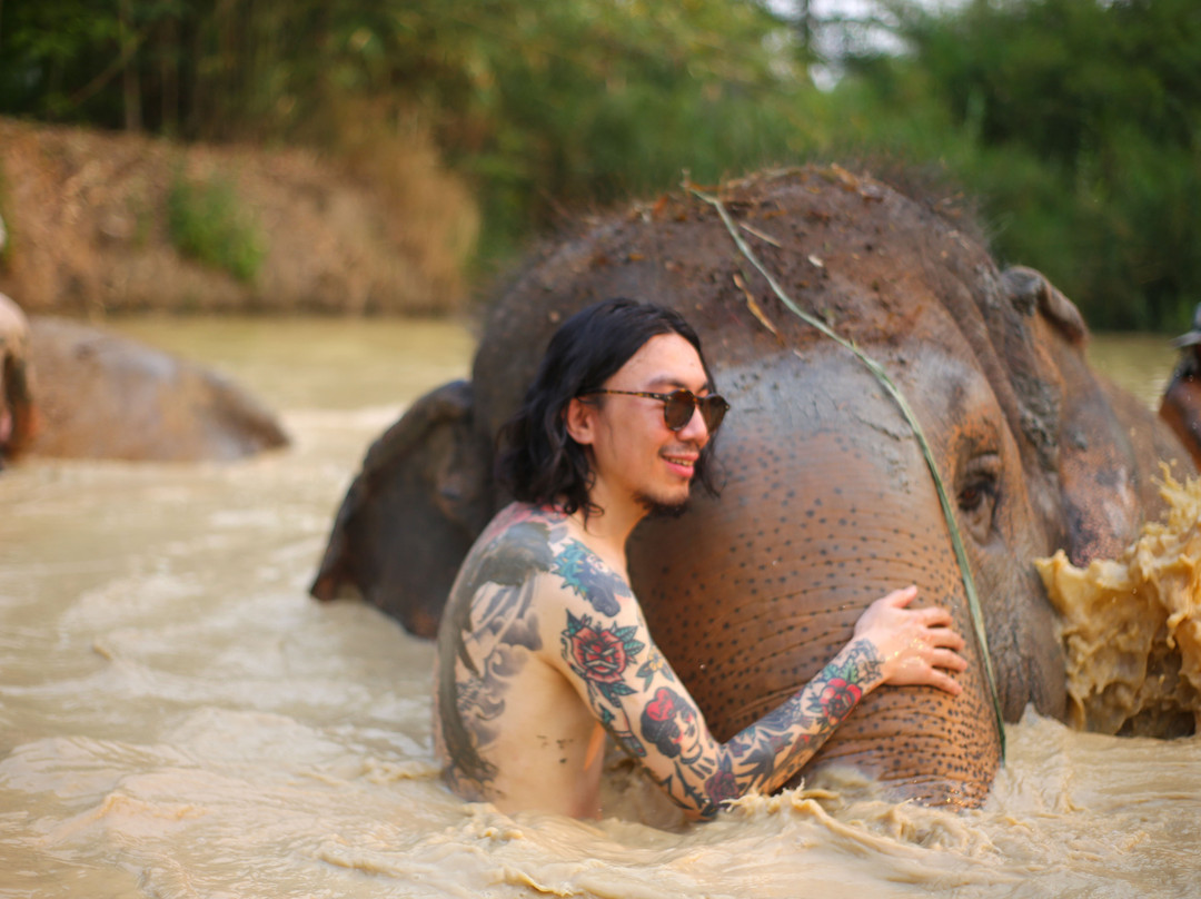 Maerim Elephant Sanctuary-夜林必去景点
