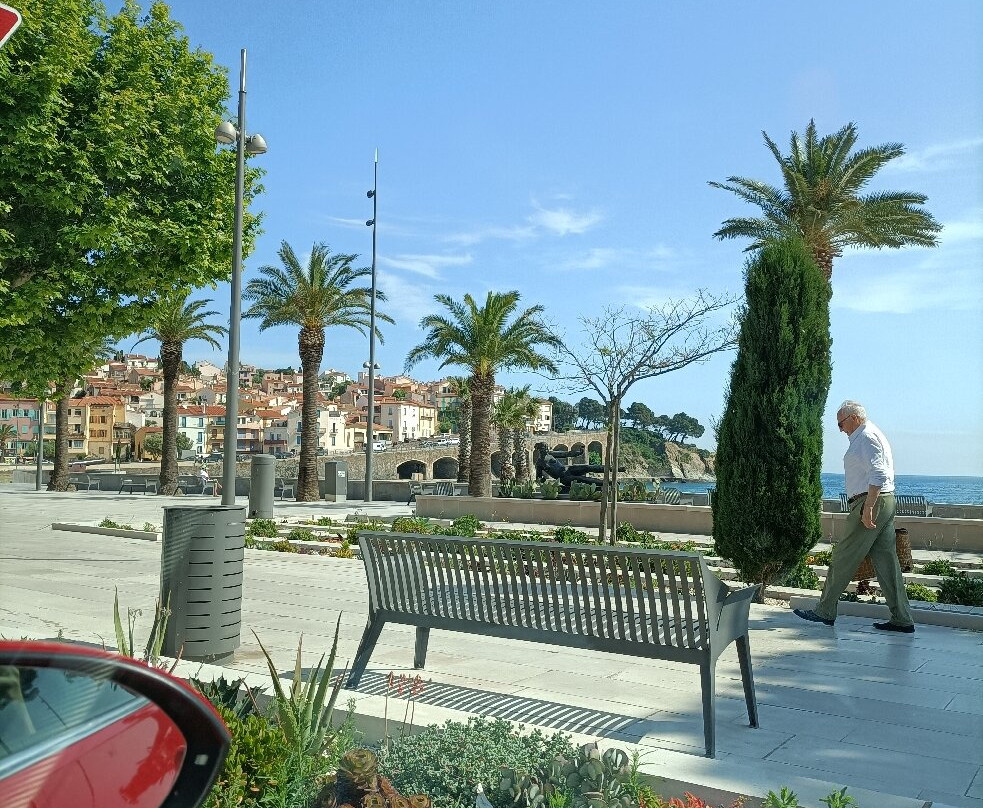 Plage du Fontaule-Banyuls-sur-mer必去景点