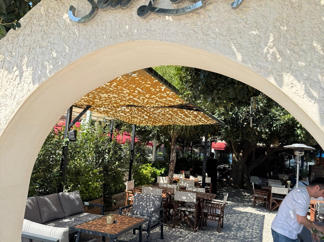 Sea Lounge Sushi̇ & Restaurant
