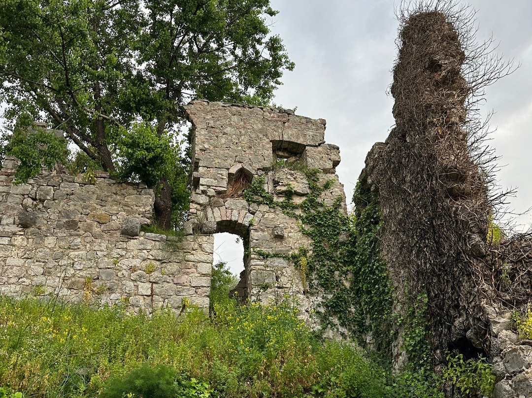 Bar Stari Grad-Stari Bar必去景点