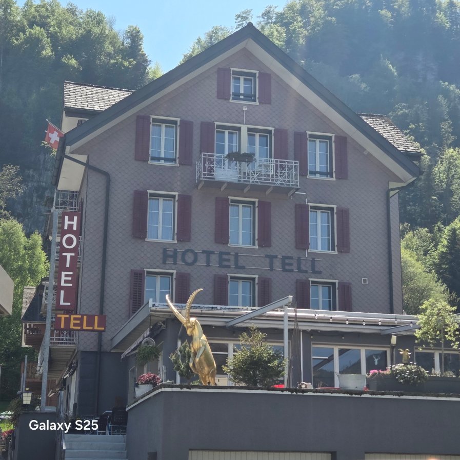 特奥酒店-旅行者