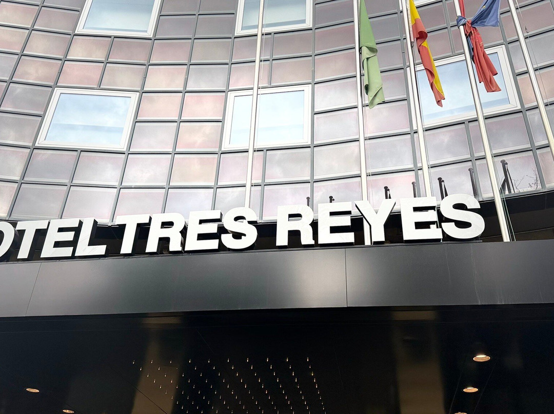 潘普洛纳特雷斯雷耶斯酒店主图