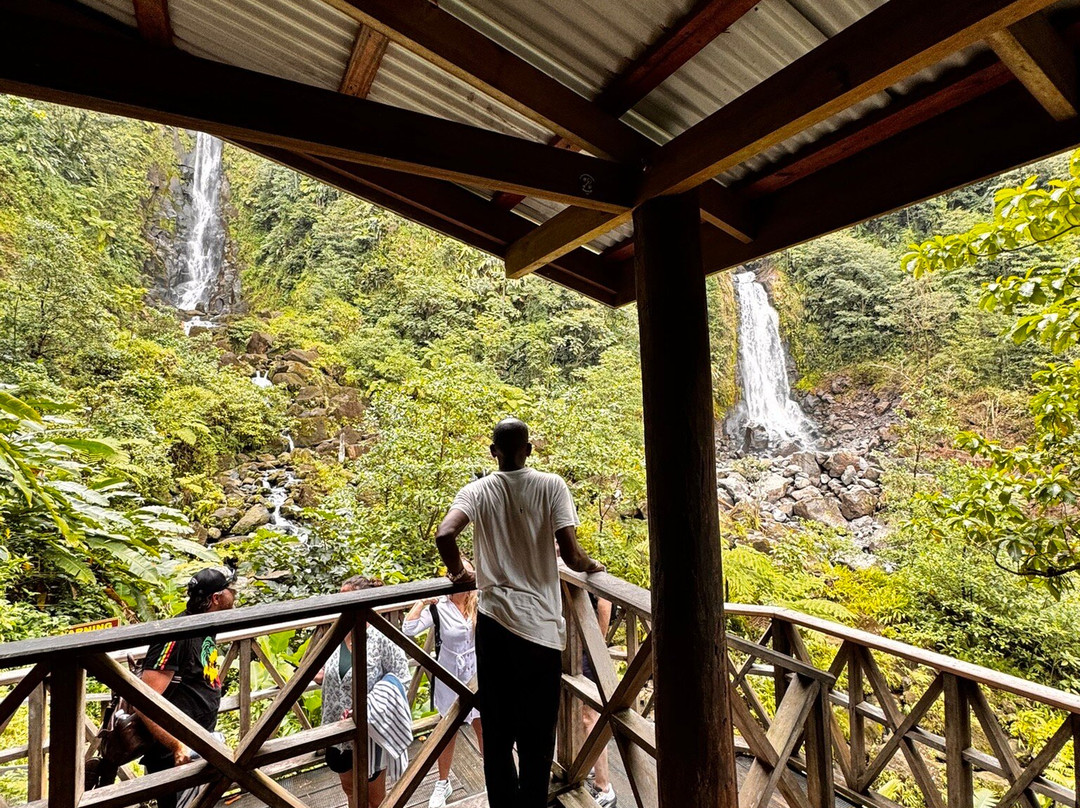 Trafalgar Falls-Morne Trois Pitons National Park必去景点