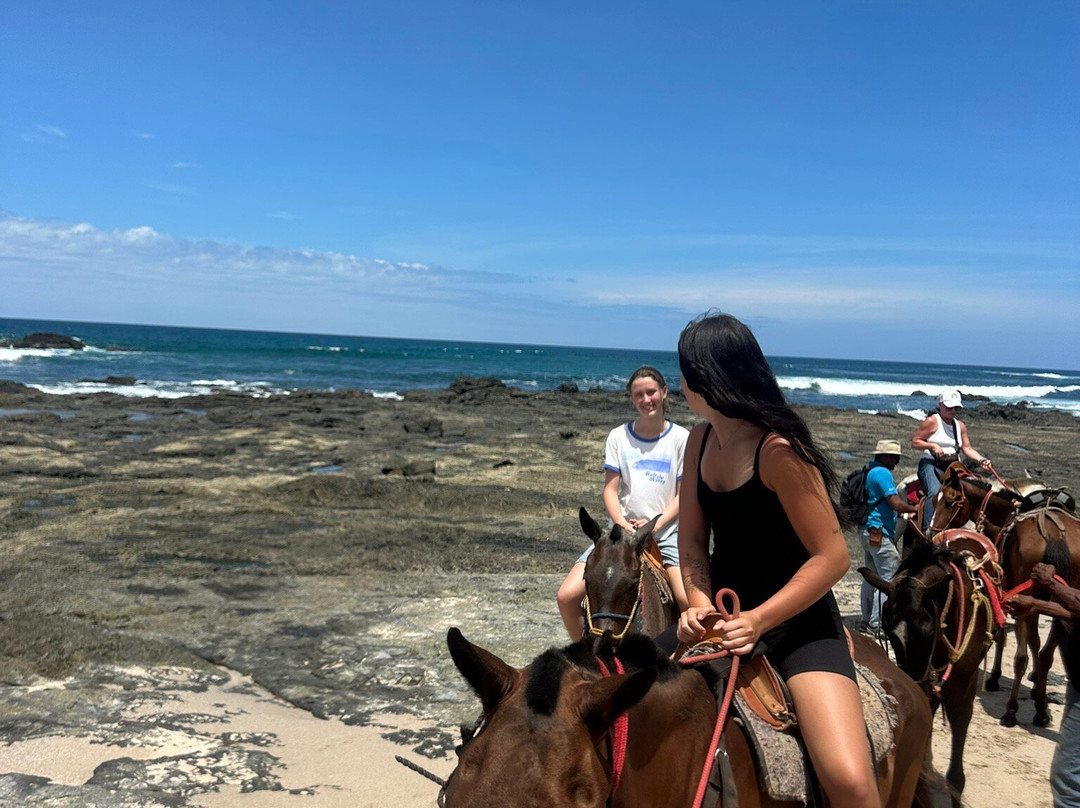 Guti Tours-Playa Avellanas必去景点